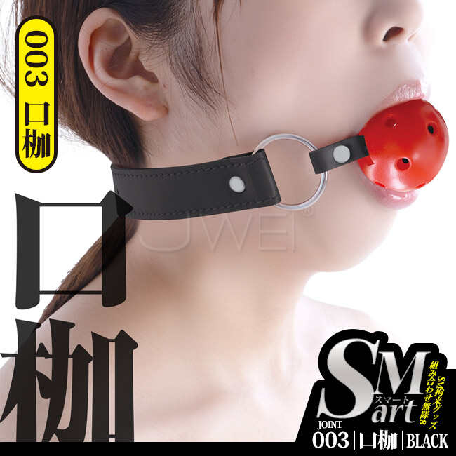 日本原裝進口A-ONE.SMart束縛藝術系列 003-口枷
